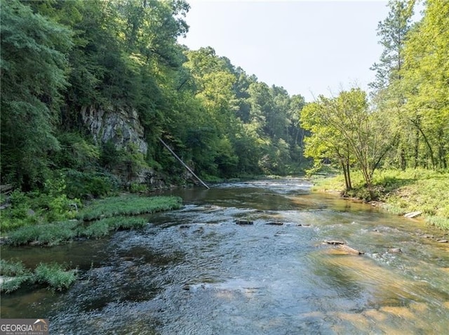 1363 Foxhound Trl NE, Ranger, GA 30734 - water view featuring a heavily wooded area