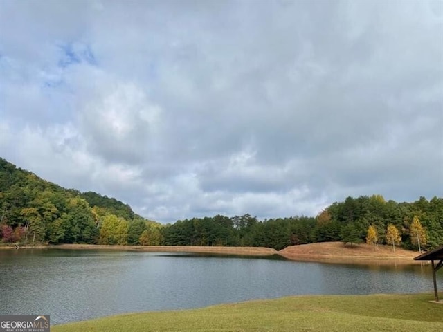 1363 Foxhound Trl NE, Ranger, GA 30734 - water view featuring a forest