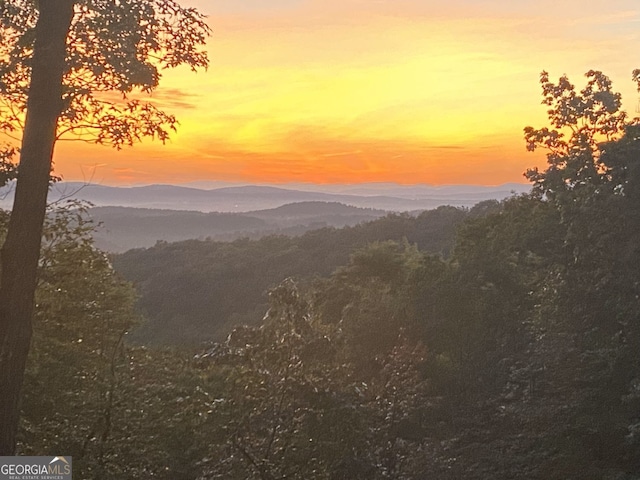 mountain view featuring a wooded view