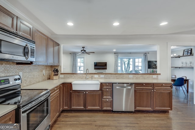 kitchen featuring a sink, dark wood-style floors, stainless steel appliances, a peninsula, and crown molding