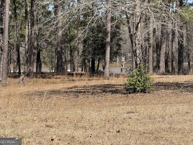 view of local wilderness