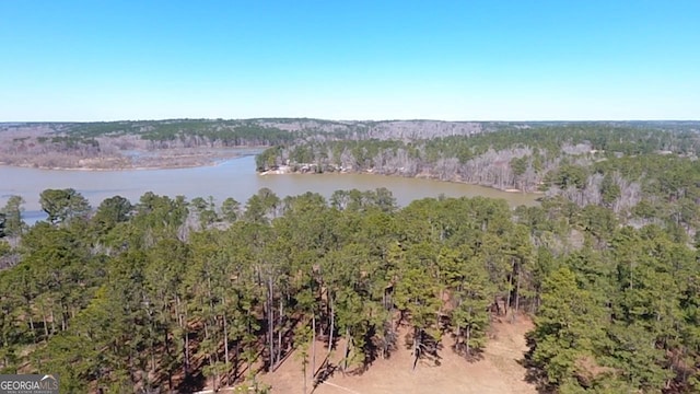 birds eye view of property with a wooded view and a water view