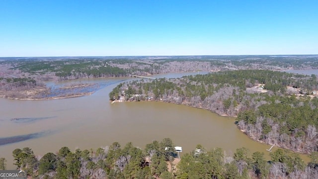 drone / aerial view with a view of trees and a water view