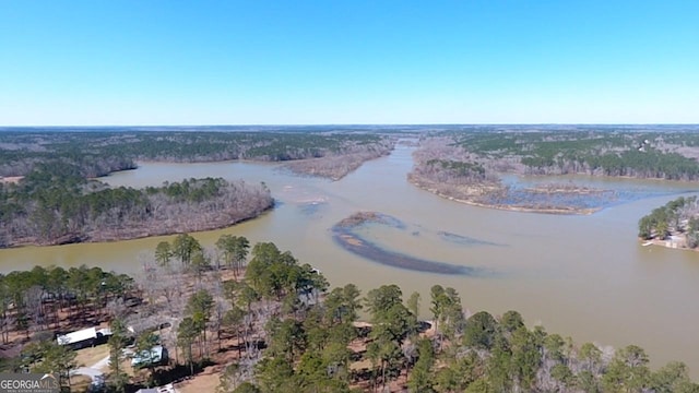 drone / aerial view with a forest view and a water view