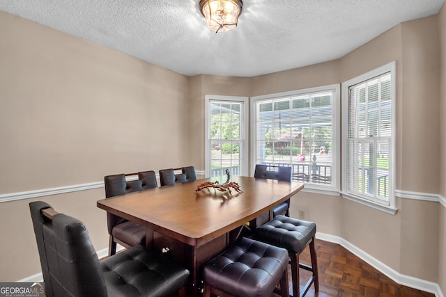 dining room with a wealth of natural light, baseboards, and a textured ceiling