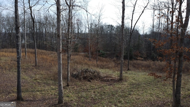 Listing photo 3 for 1.52ACRES Garrison Rd, Cornelia GA 30531