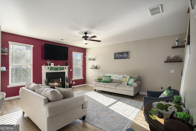 living area with visible vents, a glass covered fireplace, a ceiling fan, and light wood-style flooring