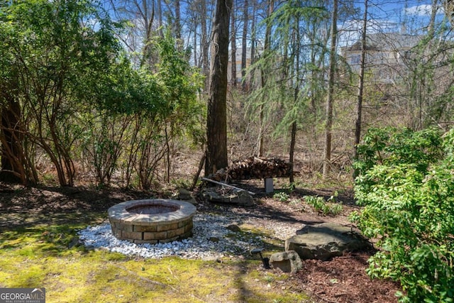 view of yard with a fire pit