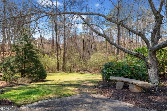 view of yard featuring a view of trees