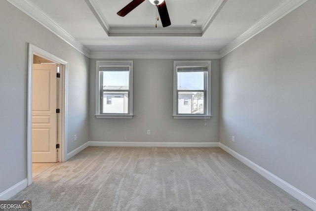 spare room with a healthy amount of sunlight, crown molding, and a raised ceiling