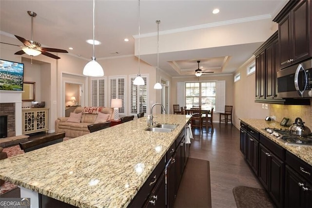 kitchen with crown molding, open floor plan, appliances with stainless steel finishes, a ceiling fan, and a sink