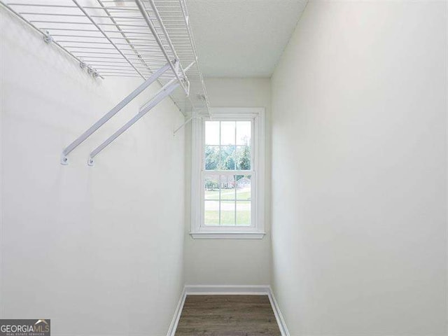 walk in closet with wood finished floors