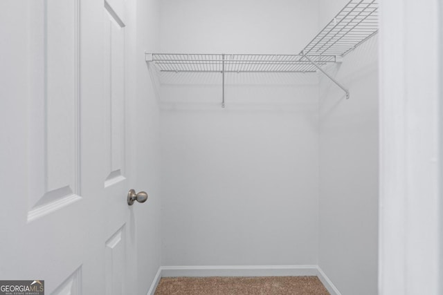 walk in closet featuring carpet