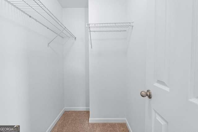 walk in closet featuring carpet