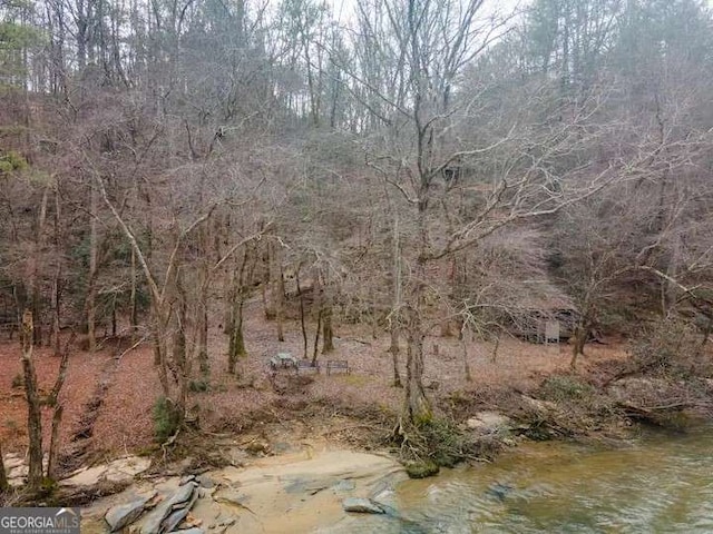 view of local wilderness featuring a wooded view