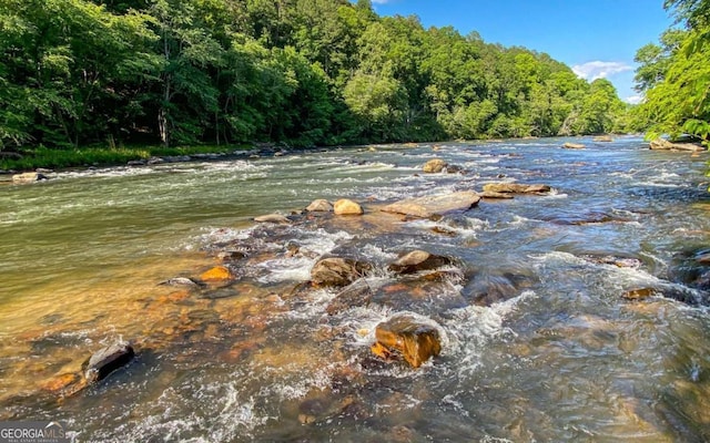 property view of water with a forest view