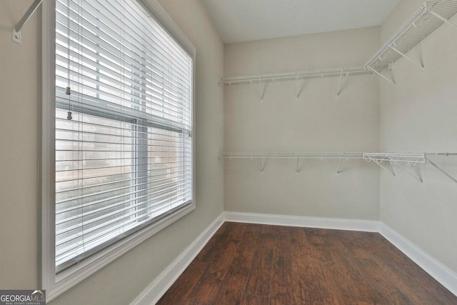 walk in closet with wood finished floors