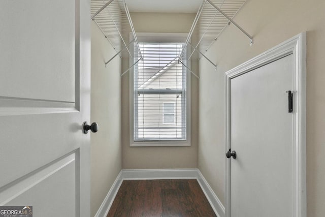 spacious closet with wood finished floors