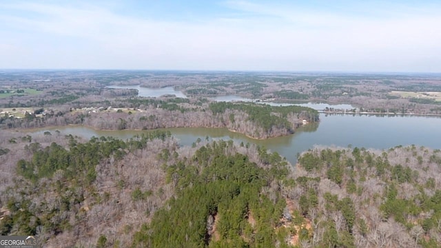 drone / aerial view with a forest view and a water view