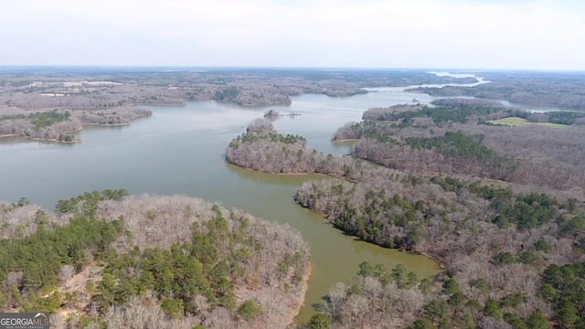 drone / aerial view featuring a view of trees and a water view