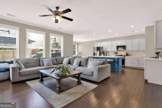 living area with dark wood-type flooring, ceiling fan with notable chandelier, visible vents, and ornamental molding