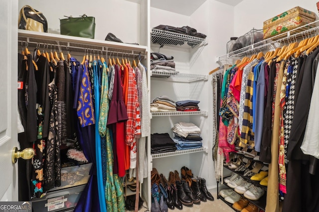 view of spacious closet