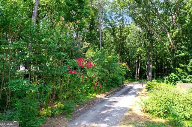 view of road with a wooded view