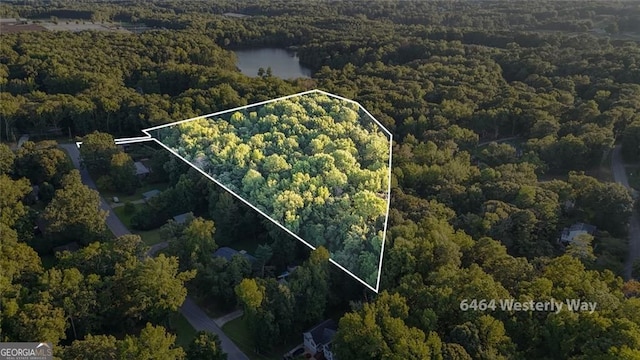 birds eye view of property with a view of trees and a water view