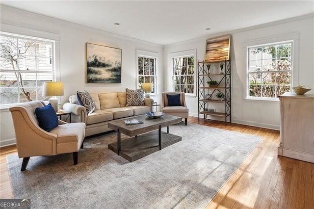 living area featuring wood finished floors, baseboards, and ornamental molding