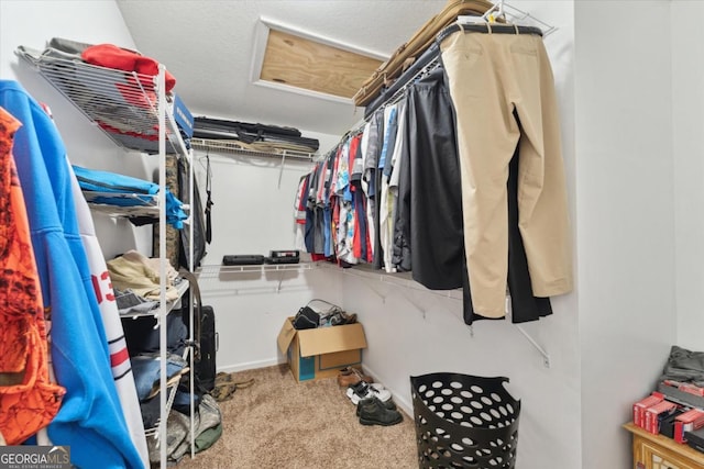 walk in closet with attic access and carpet floors