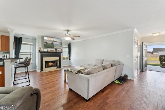 living room featuring a healthy amount of sunlight, ornamental molding, ceiling fan, and dark wood-style flooring