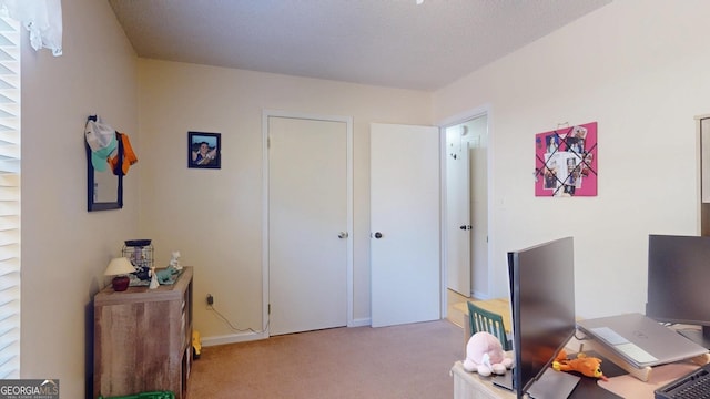 home office featuring light colored carpet