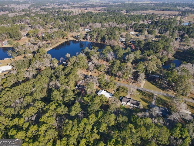 birds eye view of property featuring a view of trees and a water view