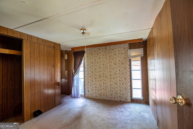 unfurnished room featuring wooden walls and carpet floors