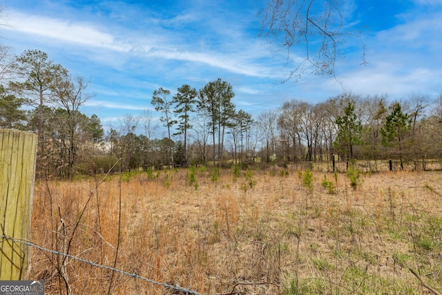 view of local wilderness