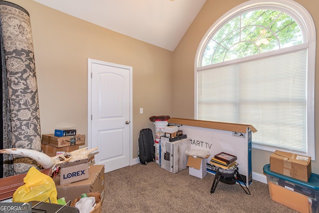 misc room featuring carpet and lofted ceiling