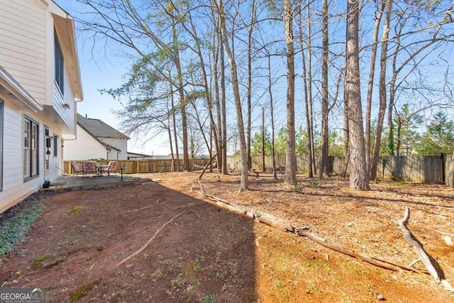 view of yard with a patio area and a fenced backyard