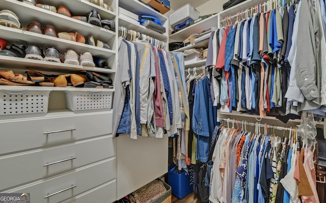 view of walk in closet