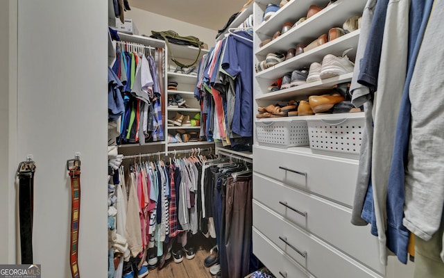 walk in closet featuring wood finished floors