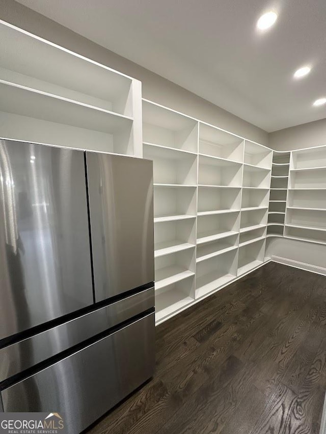 spacious closet featuring dark wood-style flooring