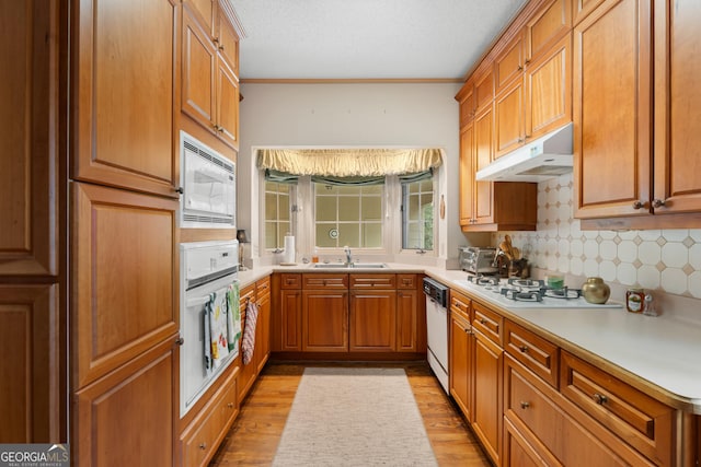 kitchen with white appliances, light wood finished floors, a sink, under cabinet range hood, and backsplash