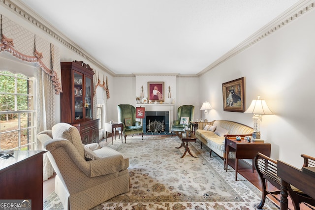 living room featuring wood finished floors and ornamental molding