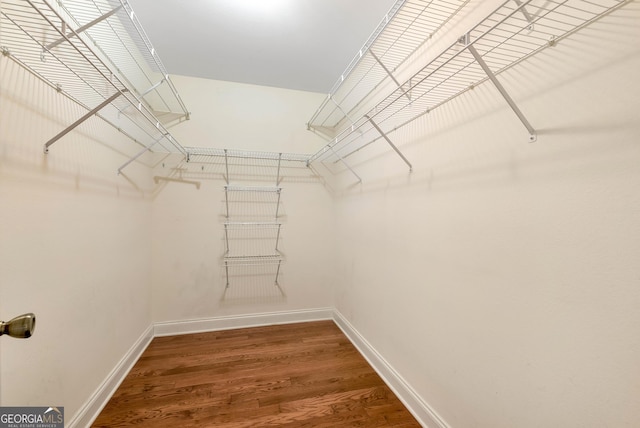 walk in closet featuring wood finished floors