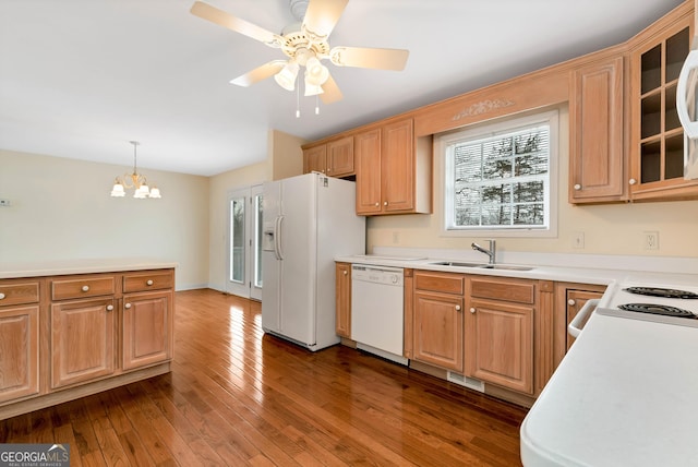 kitchen with white appliances, dark wood-style floors, a healthy amount of sunlight, and a sink