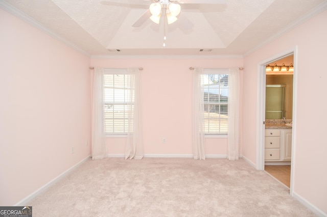 spare room featuring light colored carpet, crown molding, a raised ceiling, and ceiling fan