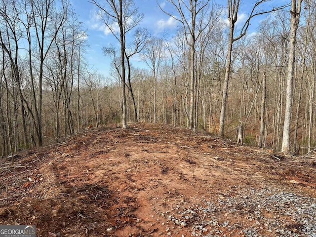 4.09 Yancy Dr, Dawsonville, GA 30534