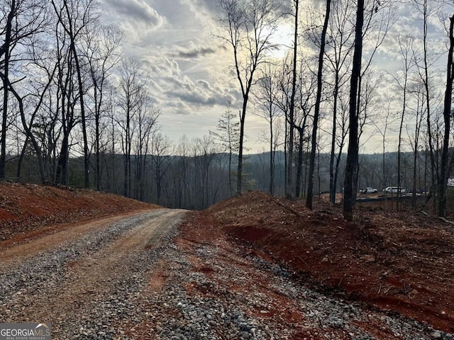 4.09 Yancy Dr, Dawsonville, GA 30534