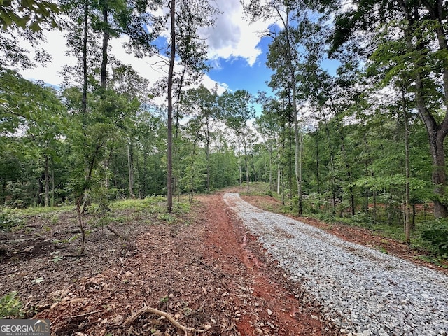 4.09 Yancy Dr, Dawsonville, GA 30534