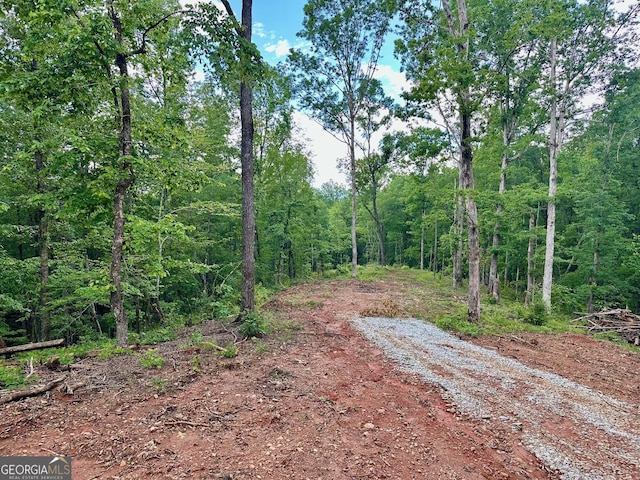 4.09 Yancy Dr, Dawsonville, GA 30534