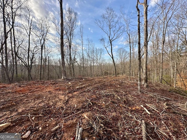 4.09 Yancy Dr, Dawsonville, GA 30534